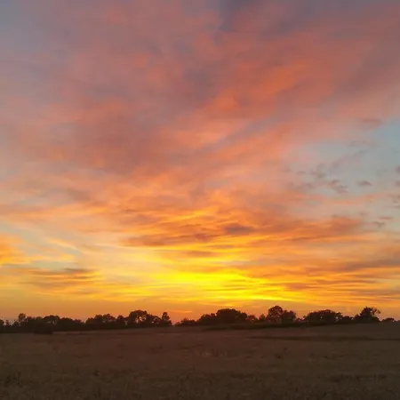 Haus An Der Pferdekoppel Am Blankenburger بيت للعطل
