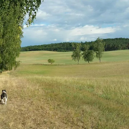 بيت للعطل Haus An Der Pferdekoppel Am Blankenburger *