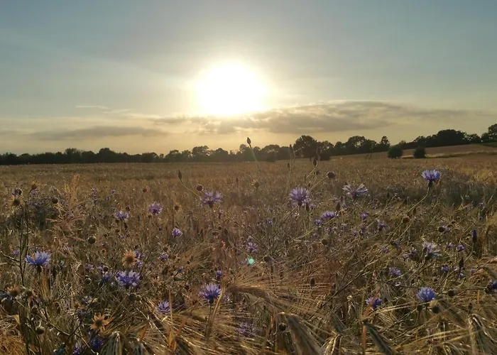 Semesterbostad Haus An Der Pferdekoppel Am Blankenburger Blankenburg (Uckermark)