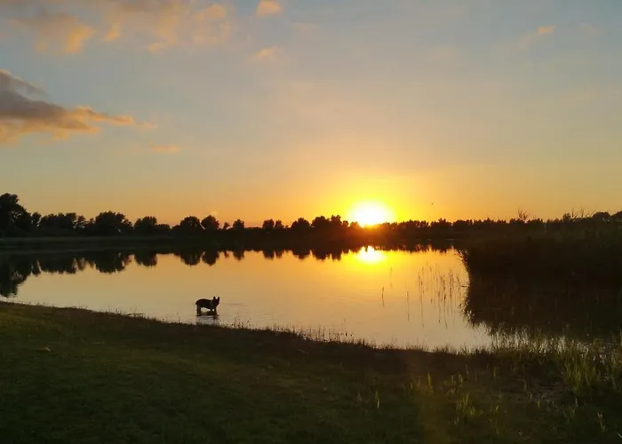 Haus An Der Pferdekoppel Am Blankenburger *