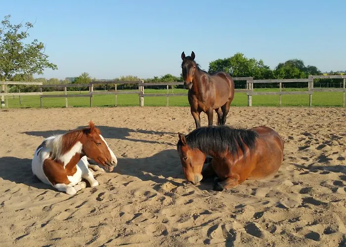 Semesterbostad Haus An Der Pferdekoppel Am Blankenburger *