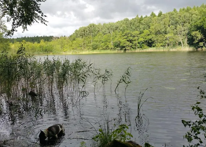 Haus An Der Pferdekoppel Am Blankenburger Blankenburg (Uckermark)